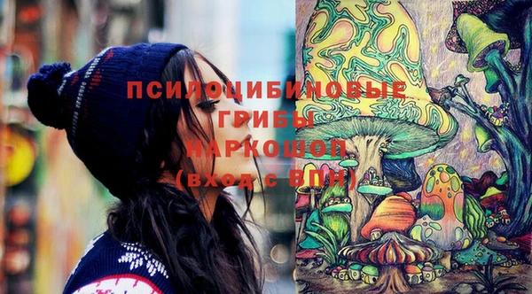 эйфоретик Липки