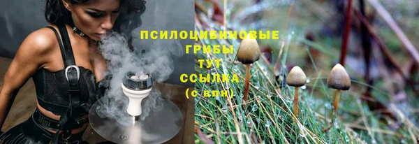 крисы Нягань