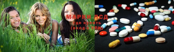 сатива Магадан