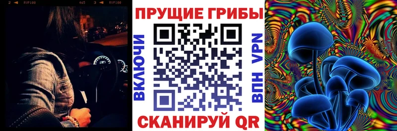 где купить наркоту  Любим  Галлюциногенные грибы мицелий 
